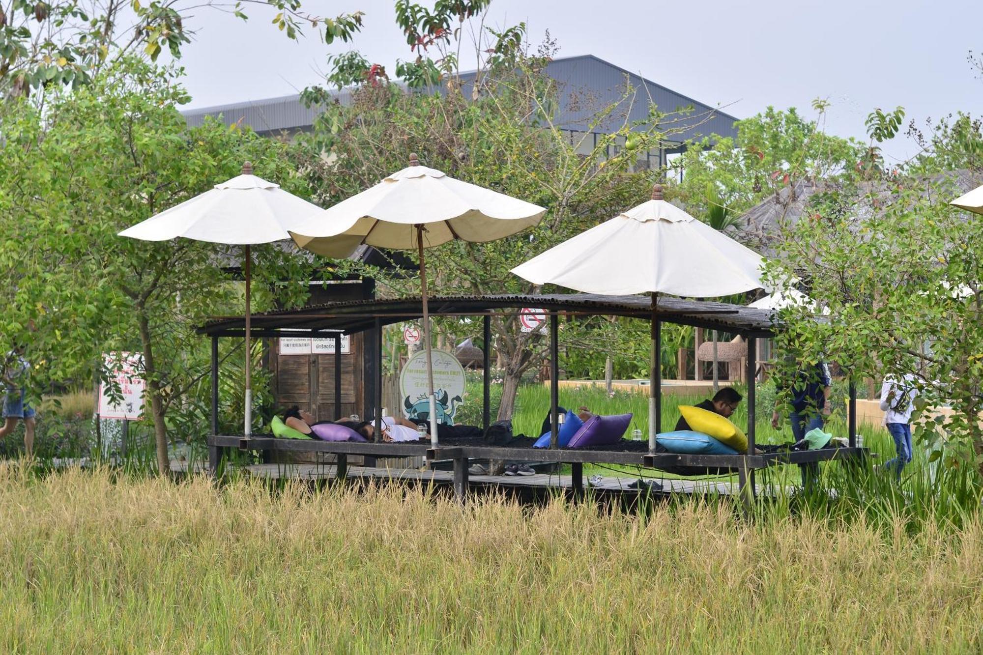 Tongna Cottage Natural Resort Чиангмай Экстерьер фото