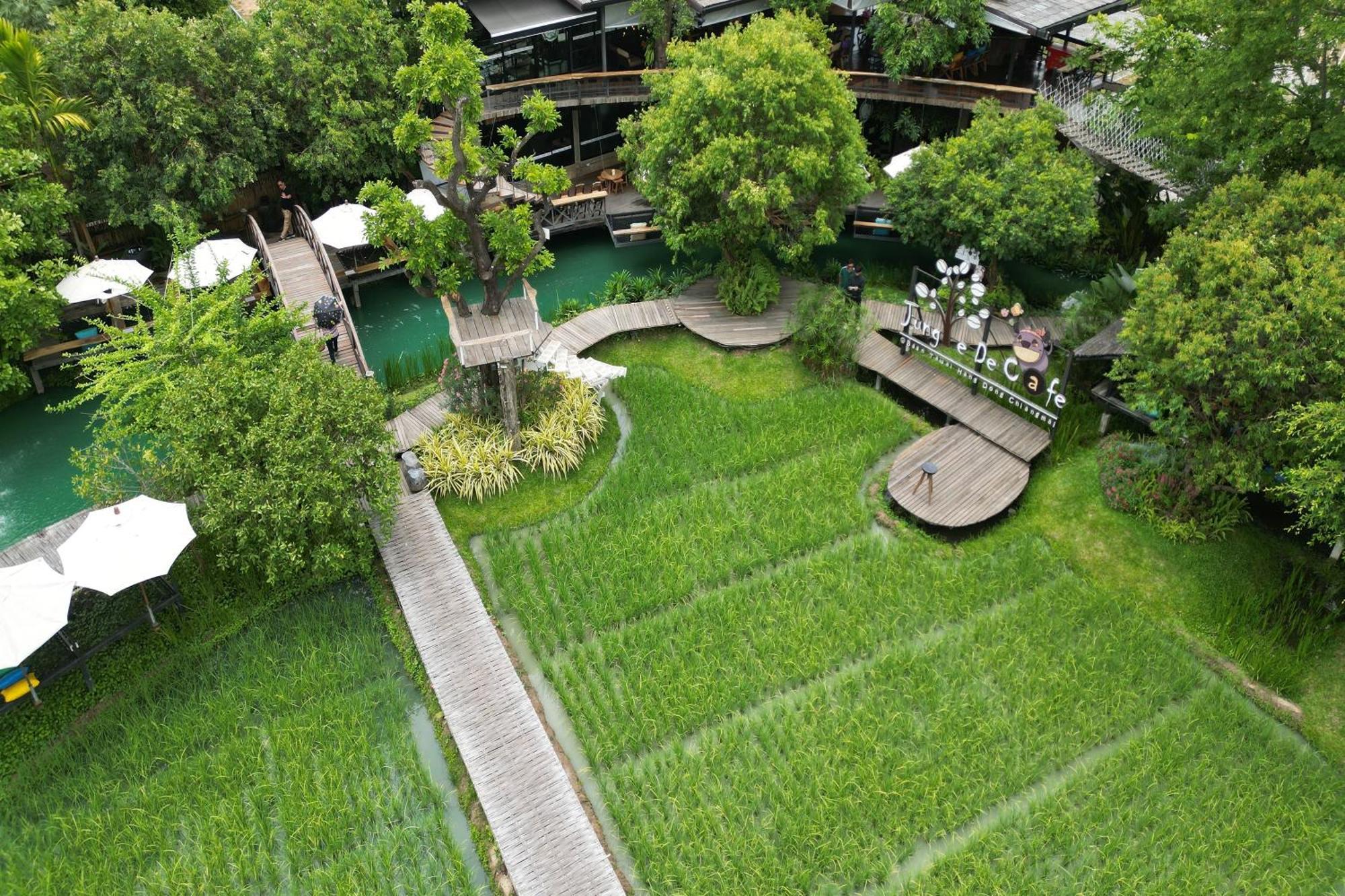 Tongna Cottage Natural Resort Чиангмай Экстерьер фото