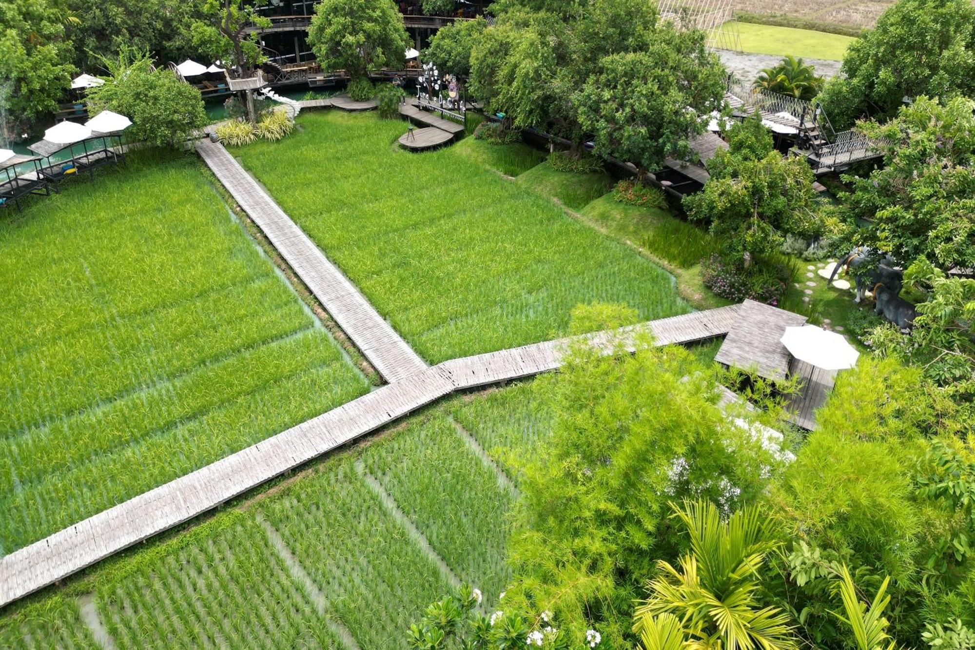 Tongna Cottage Natural Resort Чиангмай Экстерьер фото